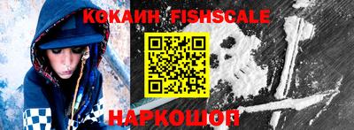 твердый Камышлов