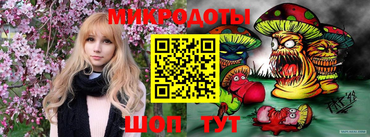 Галлюциногенные грибы GOLDEN TEACHER Лосино-Петровский